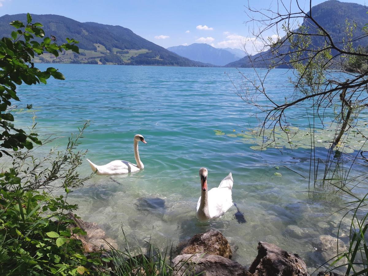 Apartment Am Wolfgangsee Strobl Exterior photo